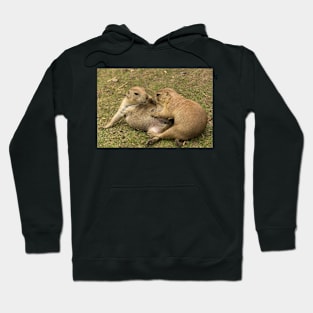 Prairie Dog Hoodie